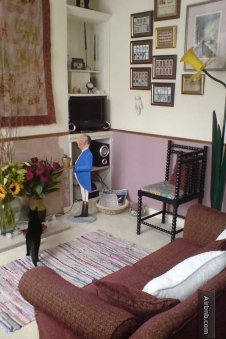 Single room to let in homely house with 2 cats.
