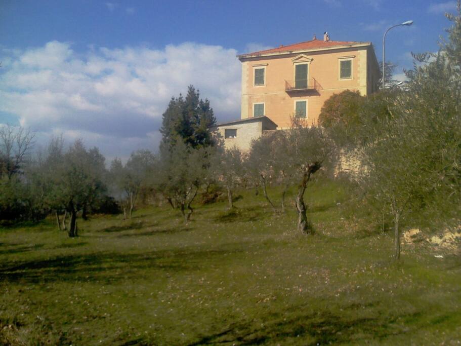 Uliveto