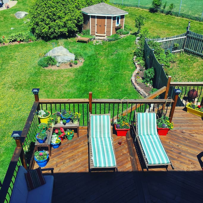 Quiet and private deck and back yard