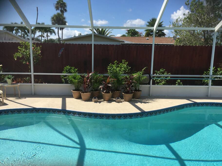 Solar POOL!
