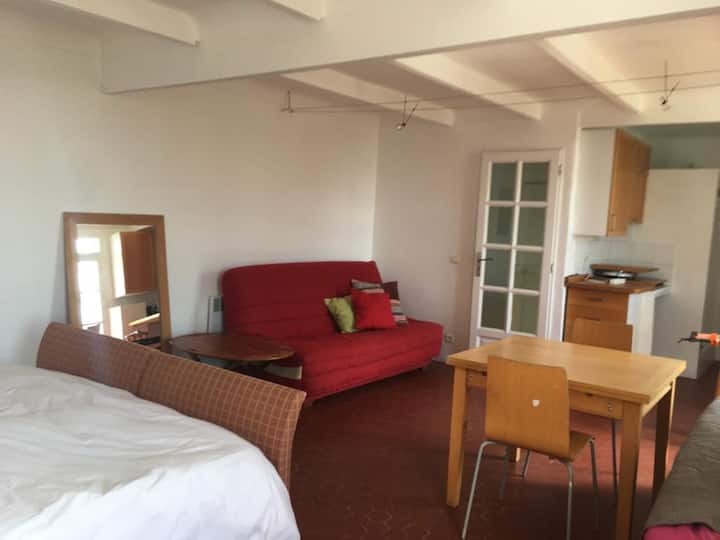 استوديو/غرفة نوم مع سرير أريكة إضافي