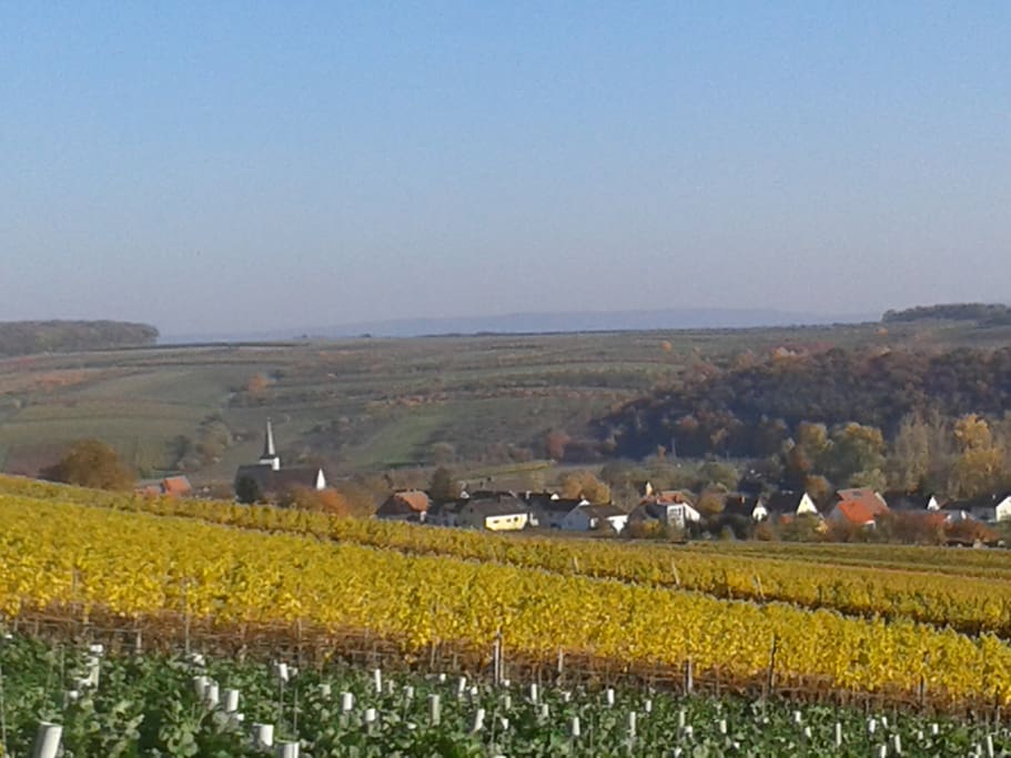 Obereisenheim von den Weinbergen aus