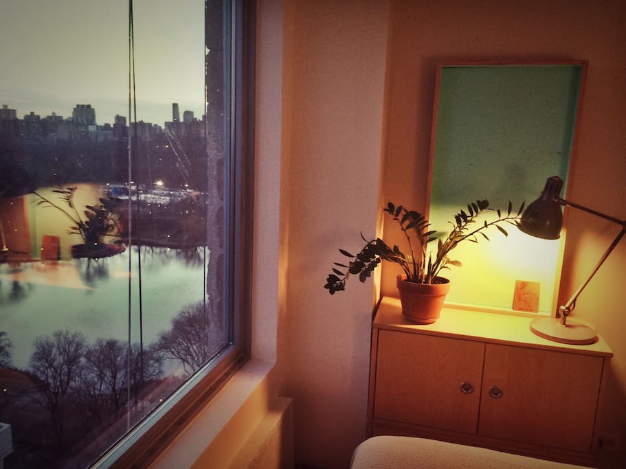 View of Central Park from your new bed! And cabinets to store anything you might need.