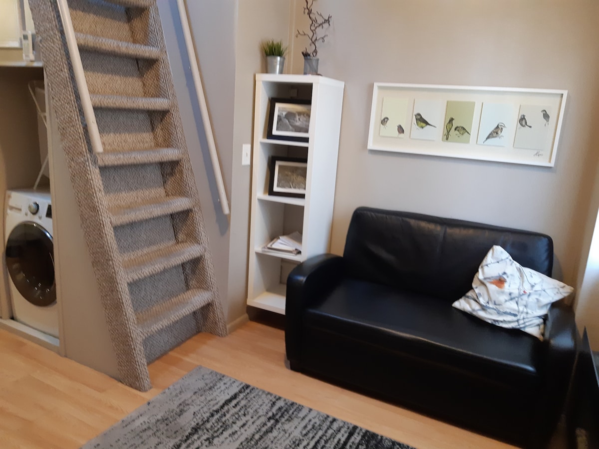 Top Airbnb: Cozy Studio Loft Apartment in South Salt Lake