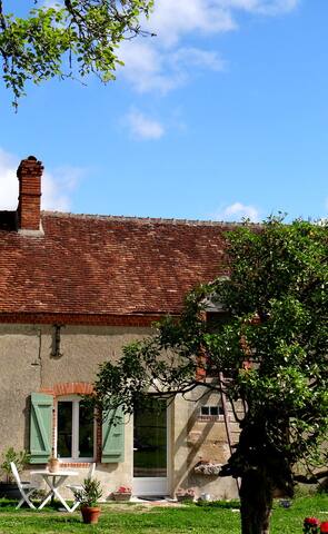 "Le ptit gîte" est situé à 30mn du zoo de Beauval