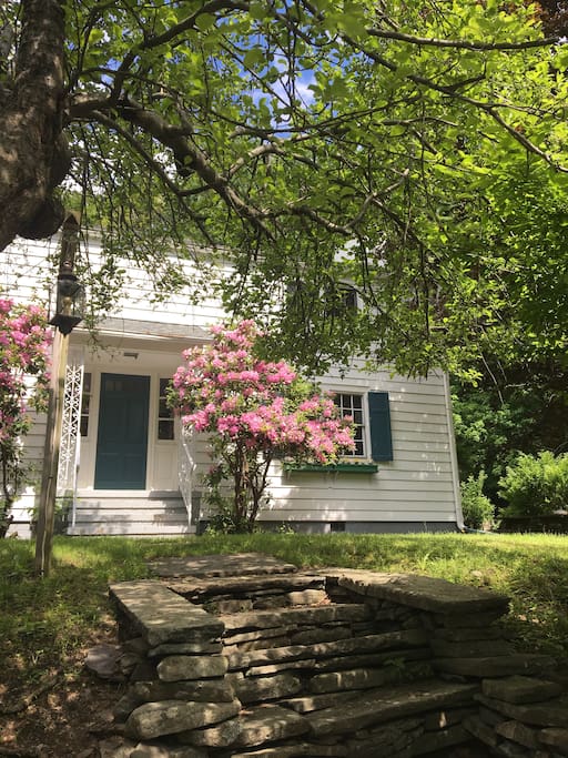 front door of the house flanked by rhododendron