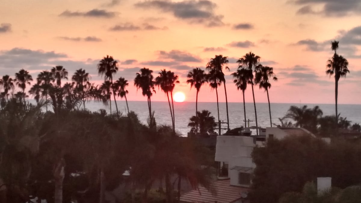 A serene sunset is captured over the ocean, with vibrant hues of orange and pink filling the sky. Silhouetted palm trees line the horizon, framing the tranquil scene. The gentle waves can be seen in the distance, contributing to the peaceful ambiance.