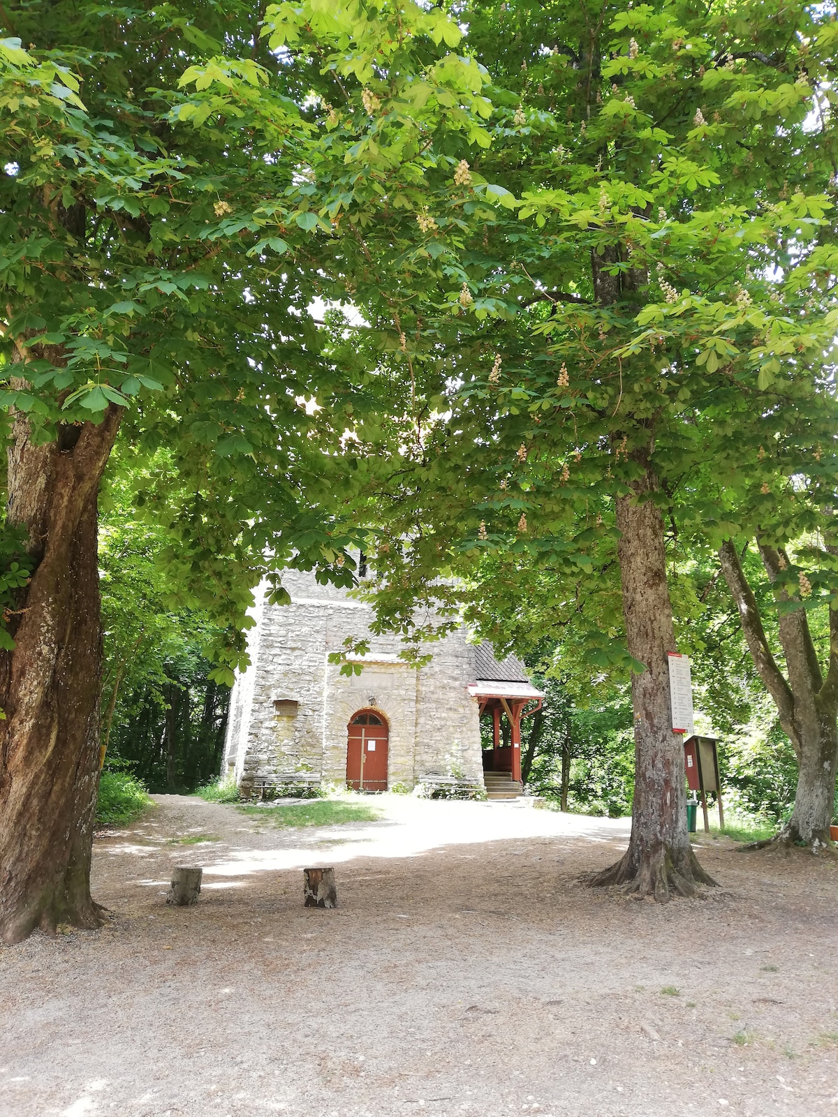 A rustic stone structure is framed by lush, leafy trees. The entrance features wooden doors, and a path leads toward it, while a dirt area and simple seating logs are visible in the foreground, providing a serene and natural setting.