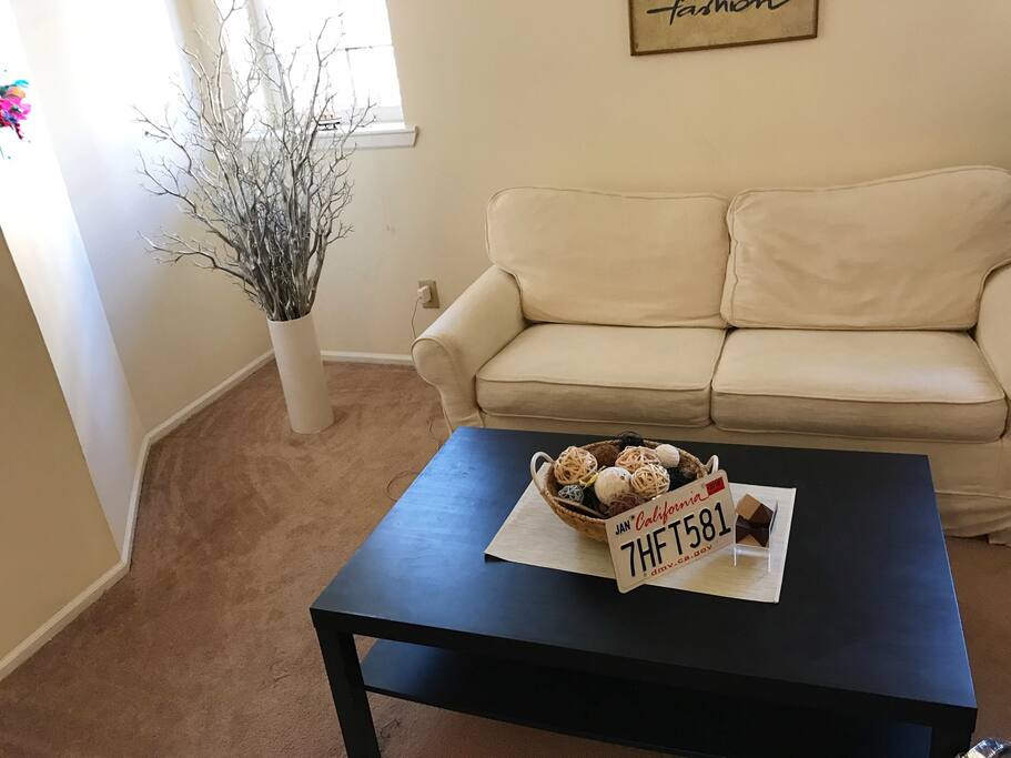 Sofa/twin size bed
