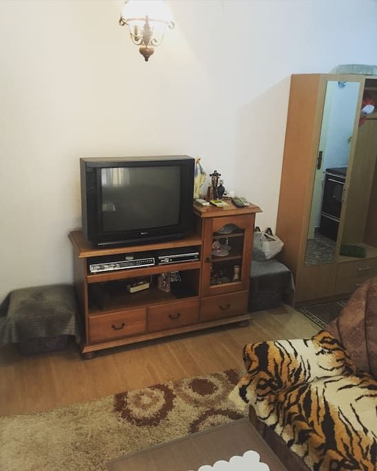 Livingroom with Satellite TV
