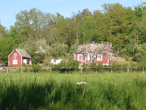 Charming Private House in Mörrum just by the river