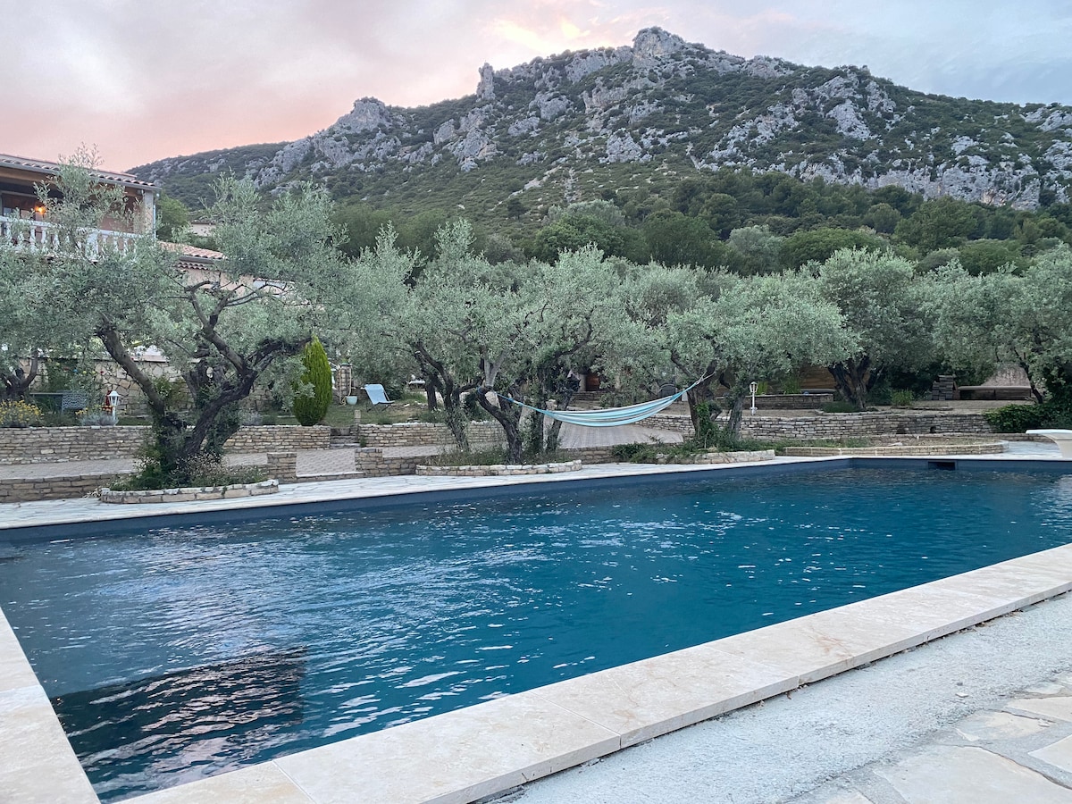 A tranquil pool is surrounded by lush olive trees, with a hammock providing a relaxing spot. The mountains rise in the background, while the water's surface reflects the evening sky. The area features stone pathways leading to the poolside.