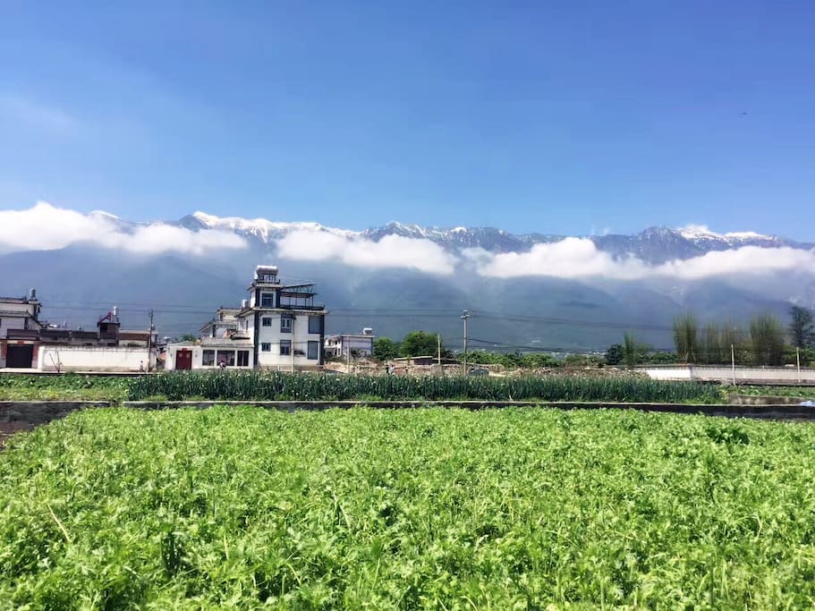 小院儿的风景