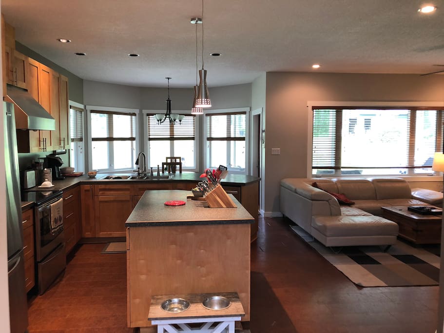 Kitchen and family room