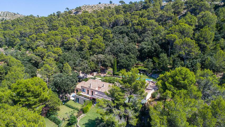 Breathtaking rural Finca in natural park gallery image 2