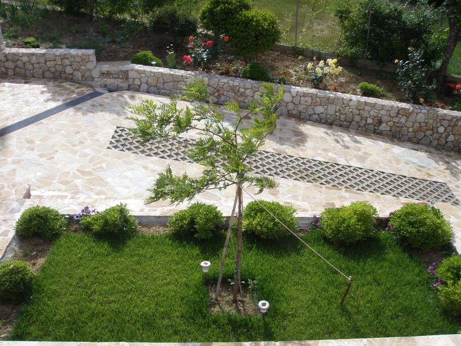garden