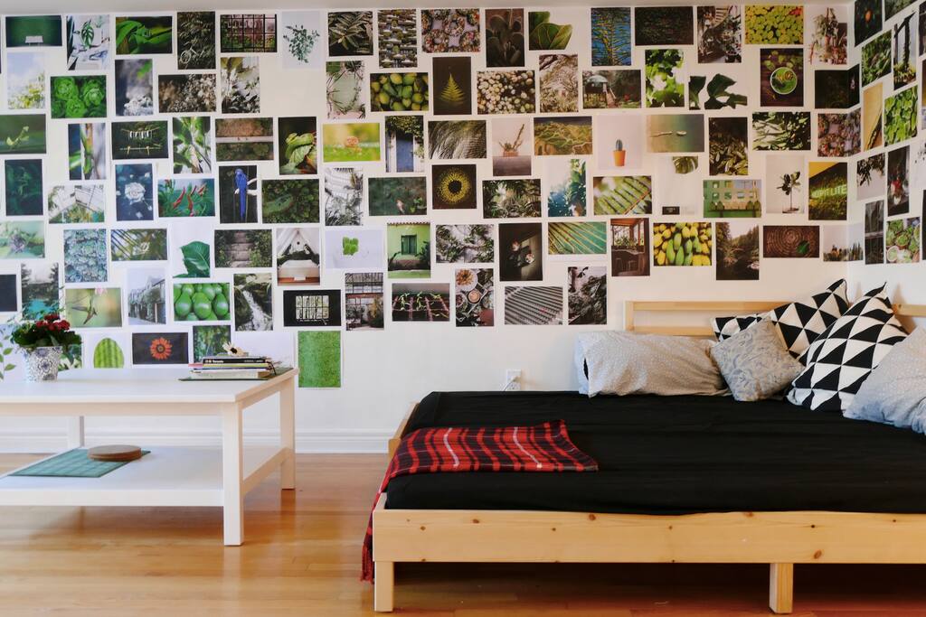 Main living space