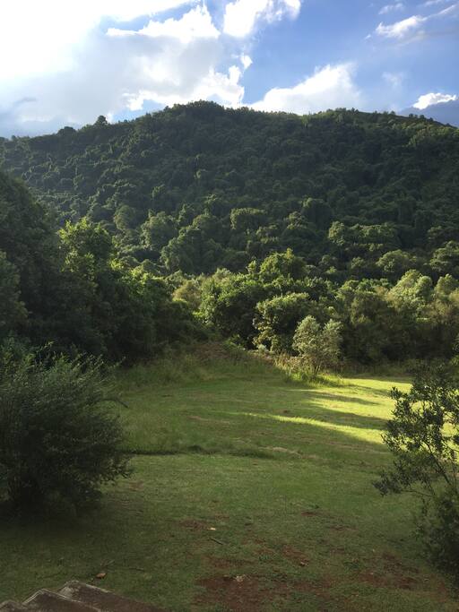 Your front garden, an arena for game and hushed by the crisp Qwa Qwa river and indigenous forest.