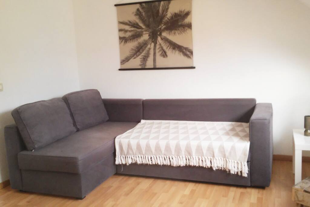 bed sofa sleeps 2