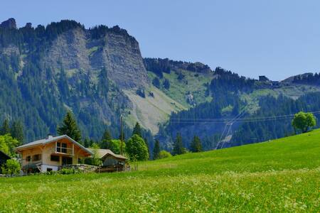 Appart skis aux pieds proche express des Prodains