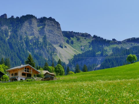 Top performing Airbnb: Ski-in apartment near Prodains Express in Morzine