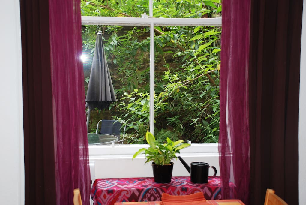 The view out of the window