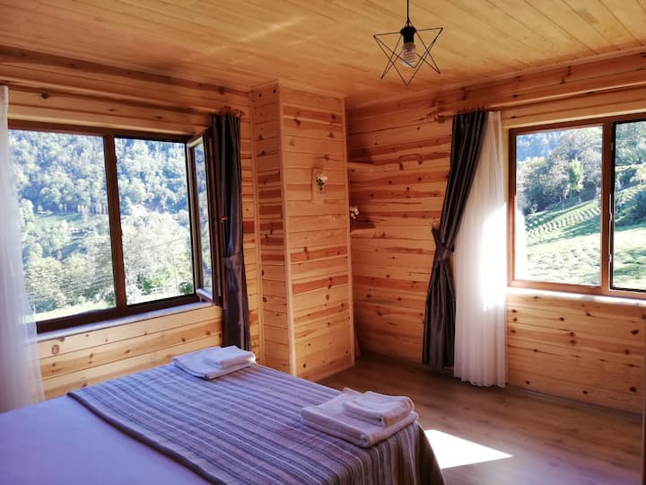 Viceminiotel