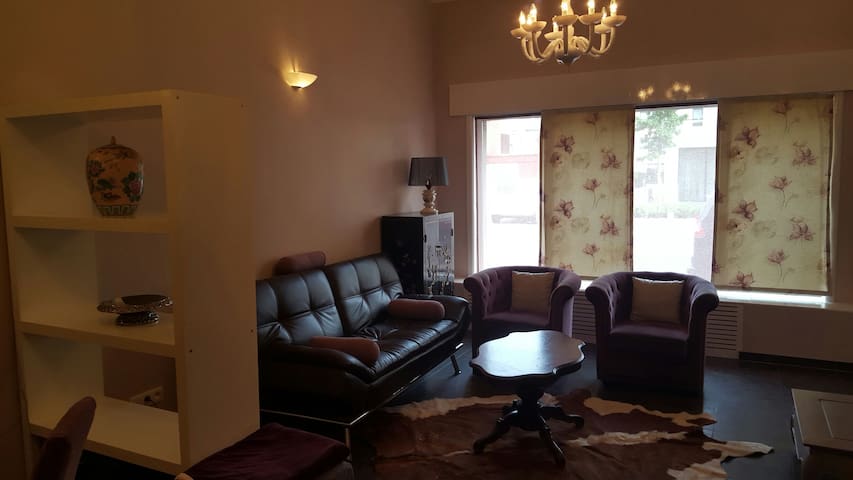 City apartment business/pleasure up to 3 persons