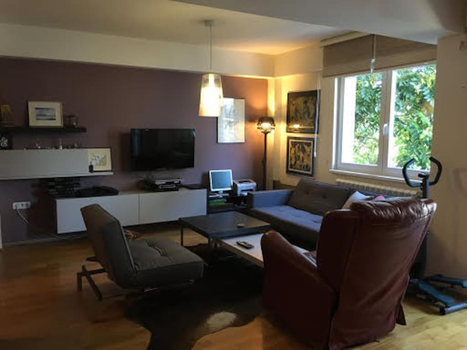 The spacious living room (angle 2)