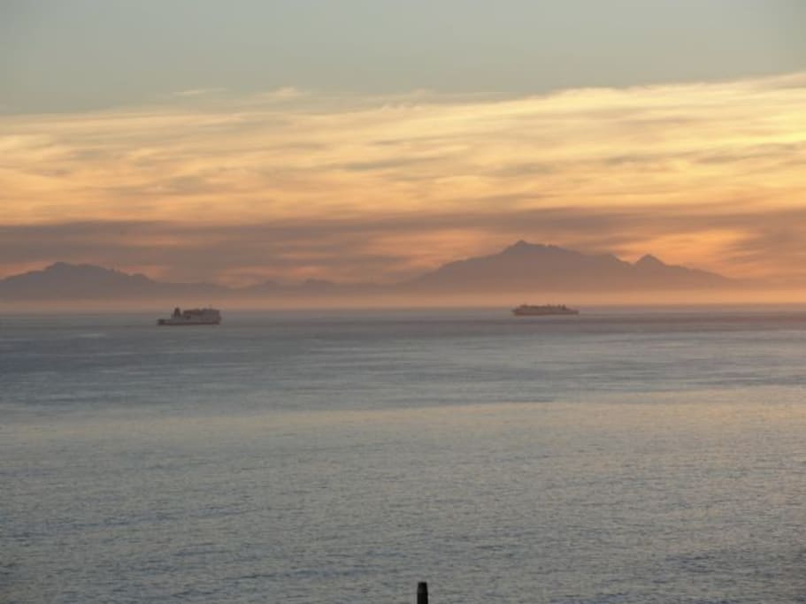 Ferries on the Cook Strait at sunset