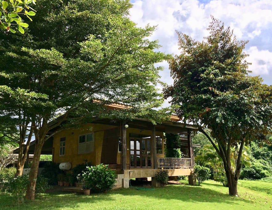 Yellow bungalow