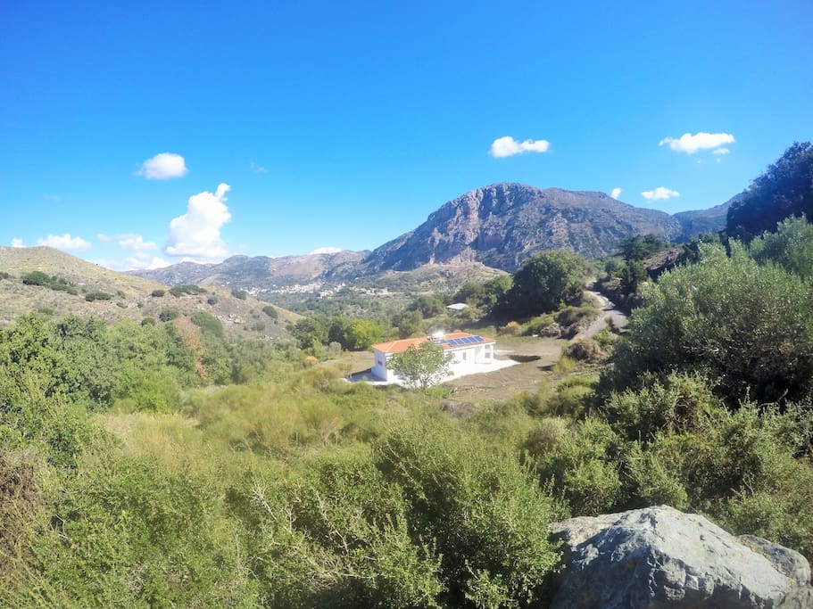 Veiw of property