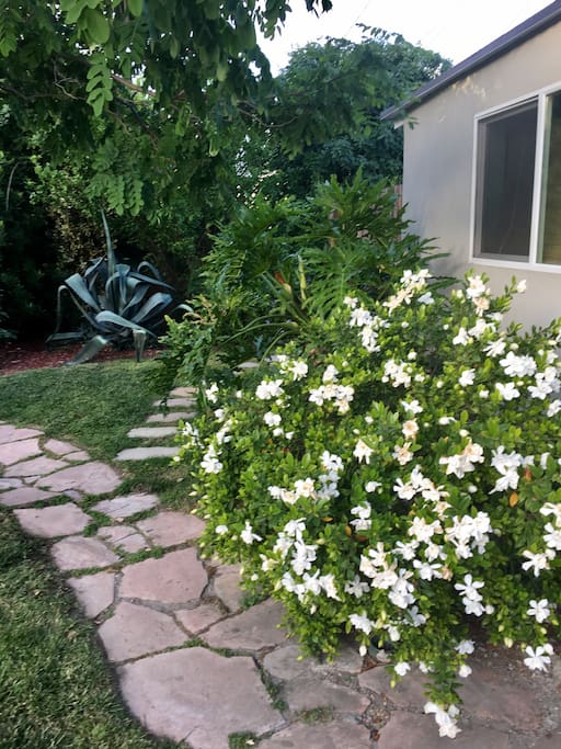 Your place is just past the gardenias