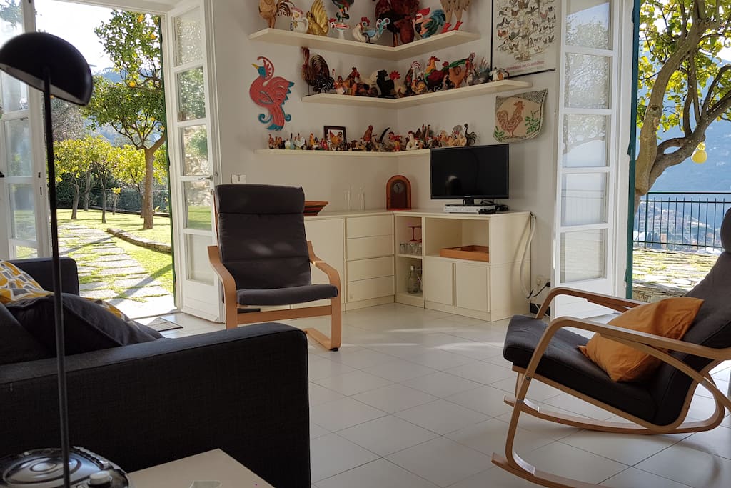 Living room and cock collection