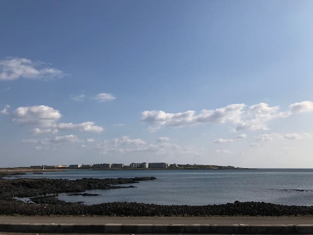 Haemorat in Jeju