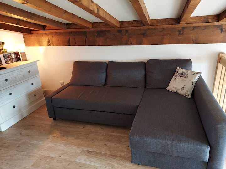 Joli Duplex Au Pied Des Pistes - Praz-sur-Arly