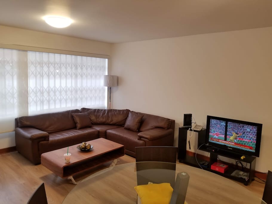 Large Living Room