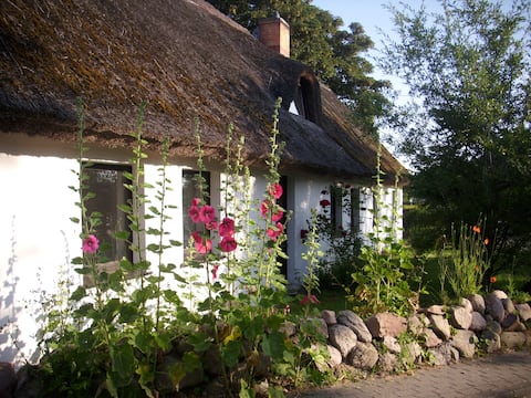 Vacation apartment in the old thatched house on Usedom