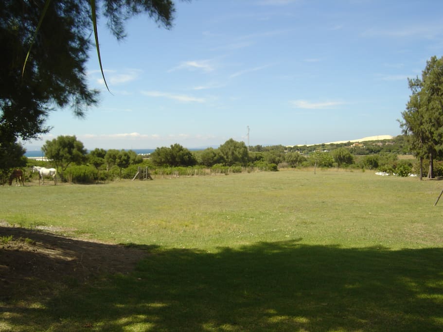 Vista delantera a la Duna de Punta Paloma (Valdevaqueros)