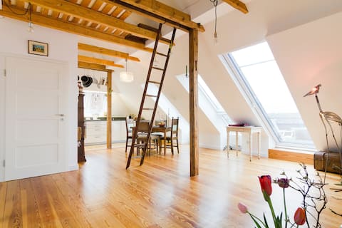 Top performing Airbnb: Eppendorf rooftop apartment with balcony in Eppendorf