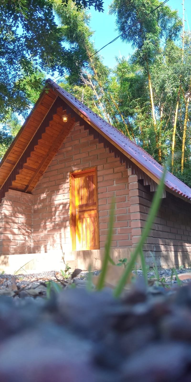 A rustic cabin with a wooden door is framed by greenery, showcasing a peaked roof and a brick exterior. Sunlight filters through the trees, illuminating the surrounding area, which features natural grass and stones.