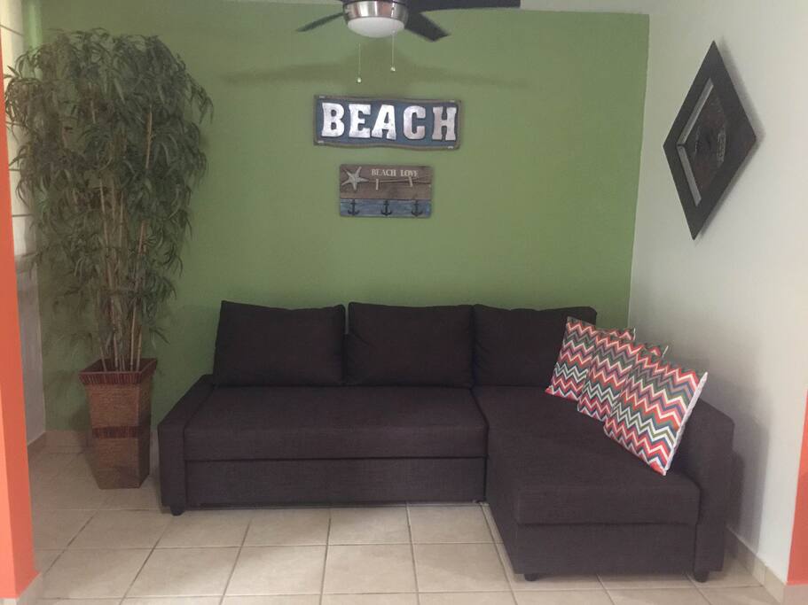 Living Room Sofa Bed Full Size with TV 55"