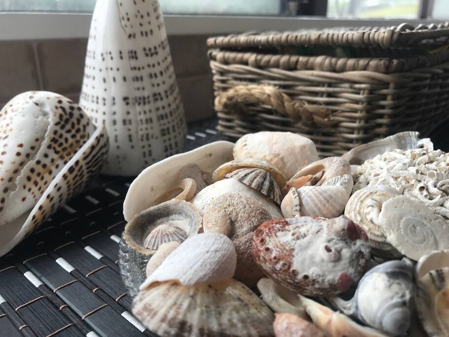Wander the beach and collect shells or just chill out.
