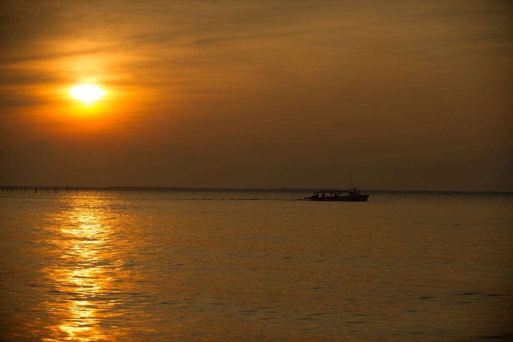 watch local crabbers