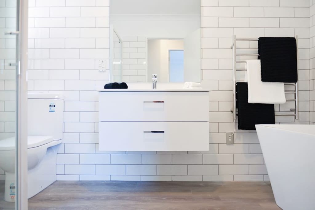 Main Bathroom (Downstairs)