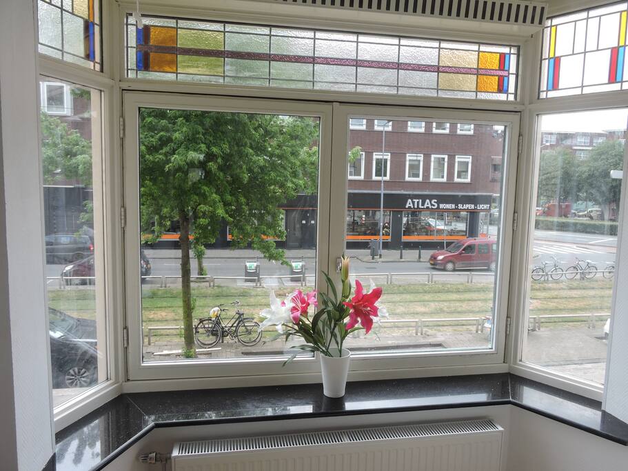 View from the front room
