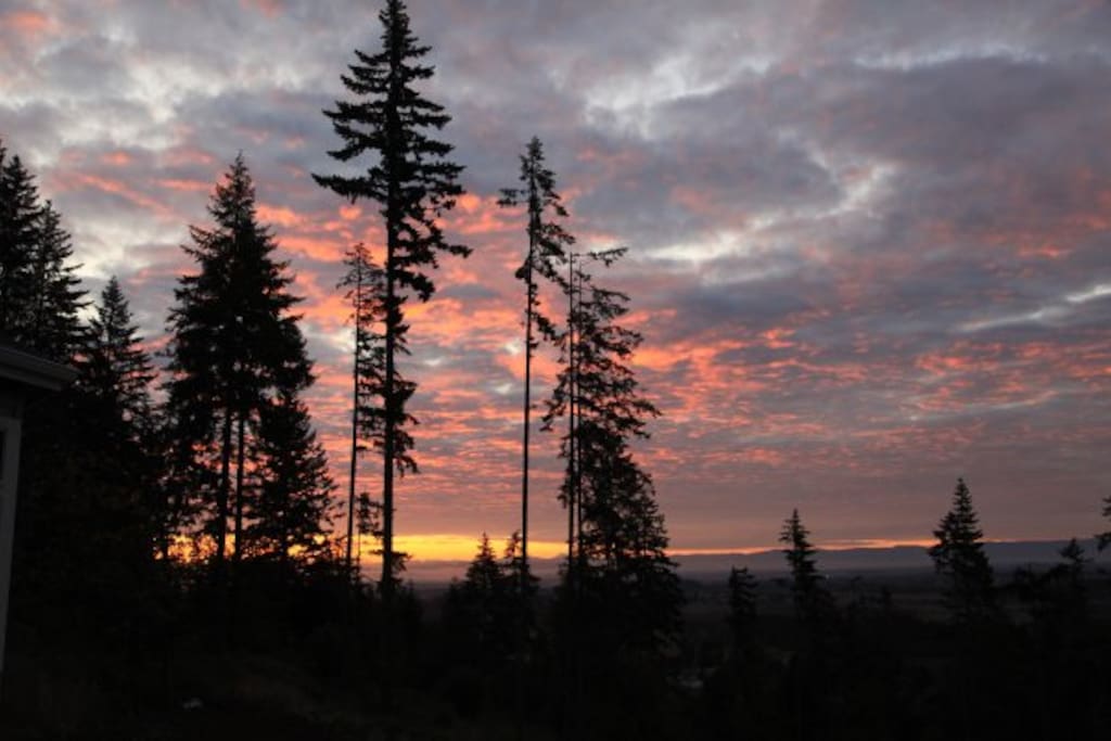 Sunrise off the back patio