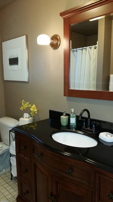 The bathroom vanity.
