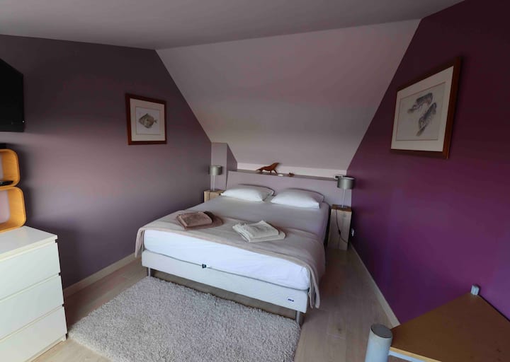 Glavna spavaća soba 1