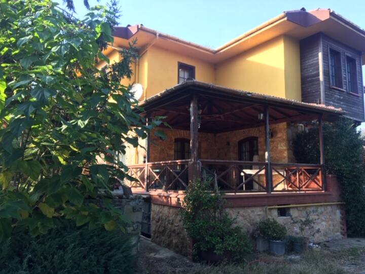 Taş ile ağacın kaynaştığı deniz ve yeşil harmonisi Şile şehrinde